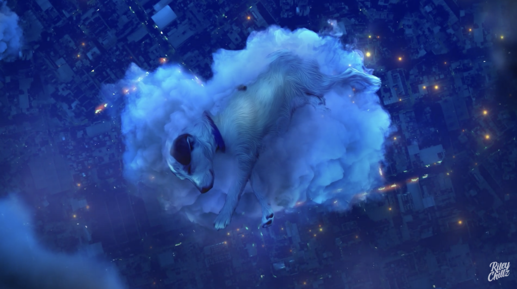 Cartoon image of dog floating on cloud above city